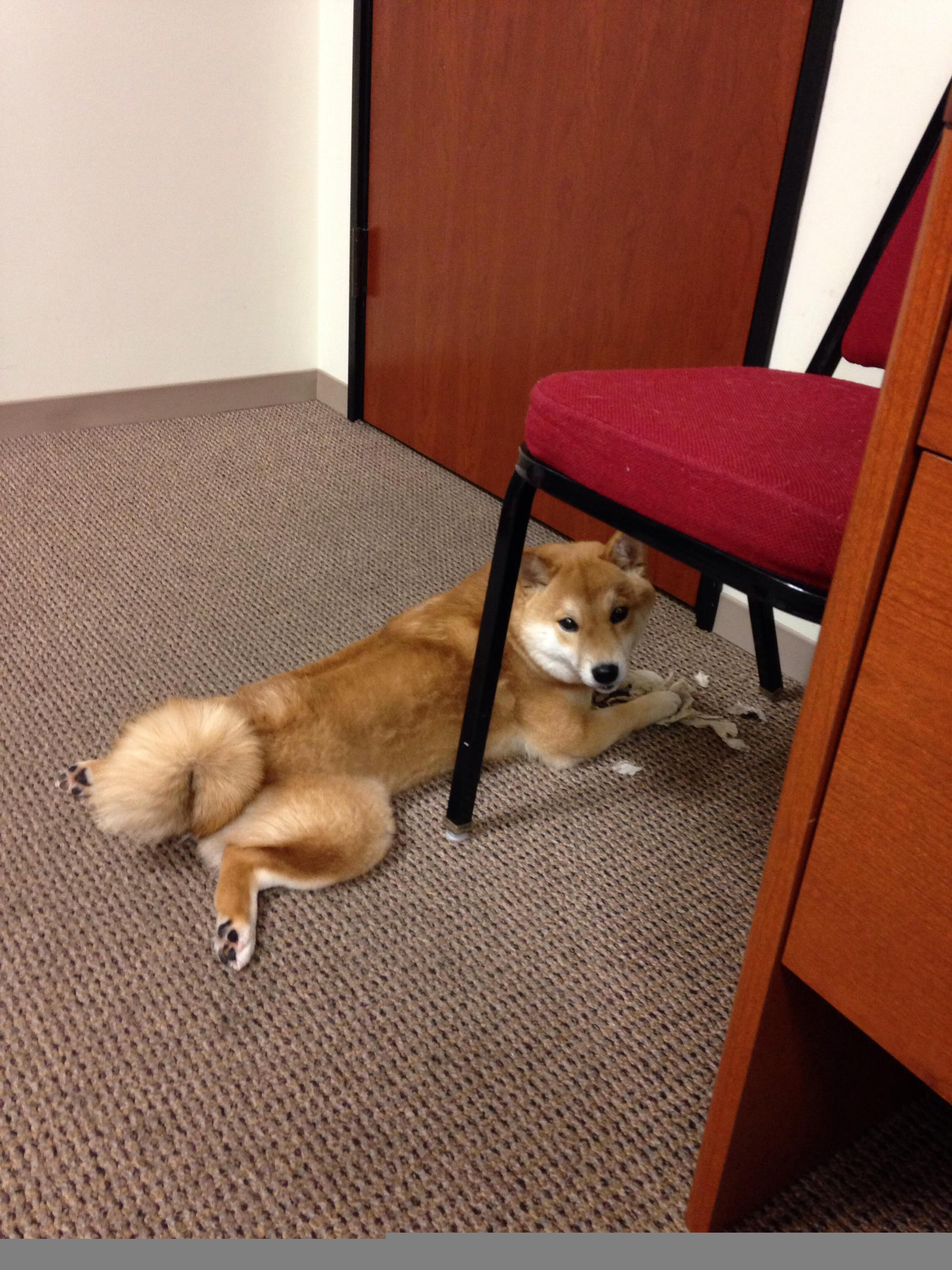 开云体育官方网入口-克罗地亚球队晋级世界杯小组赛，成绩不俗，克罗地亚世界杯主力阵容