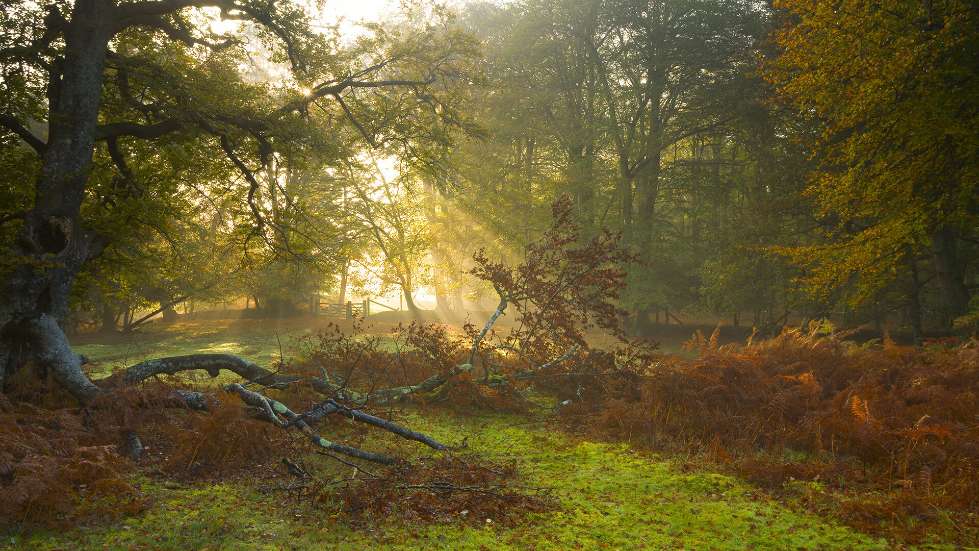 开云体育在线赛事直播-美国男足在巴黎奥运会上表现出色,赢得奖牌,美国男足 奥运会