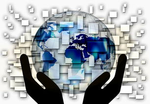 开云体育中国官网-中国篮球教练员战术创新与应用案例分析，篮球教练基本战术