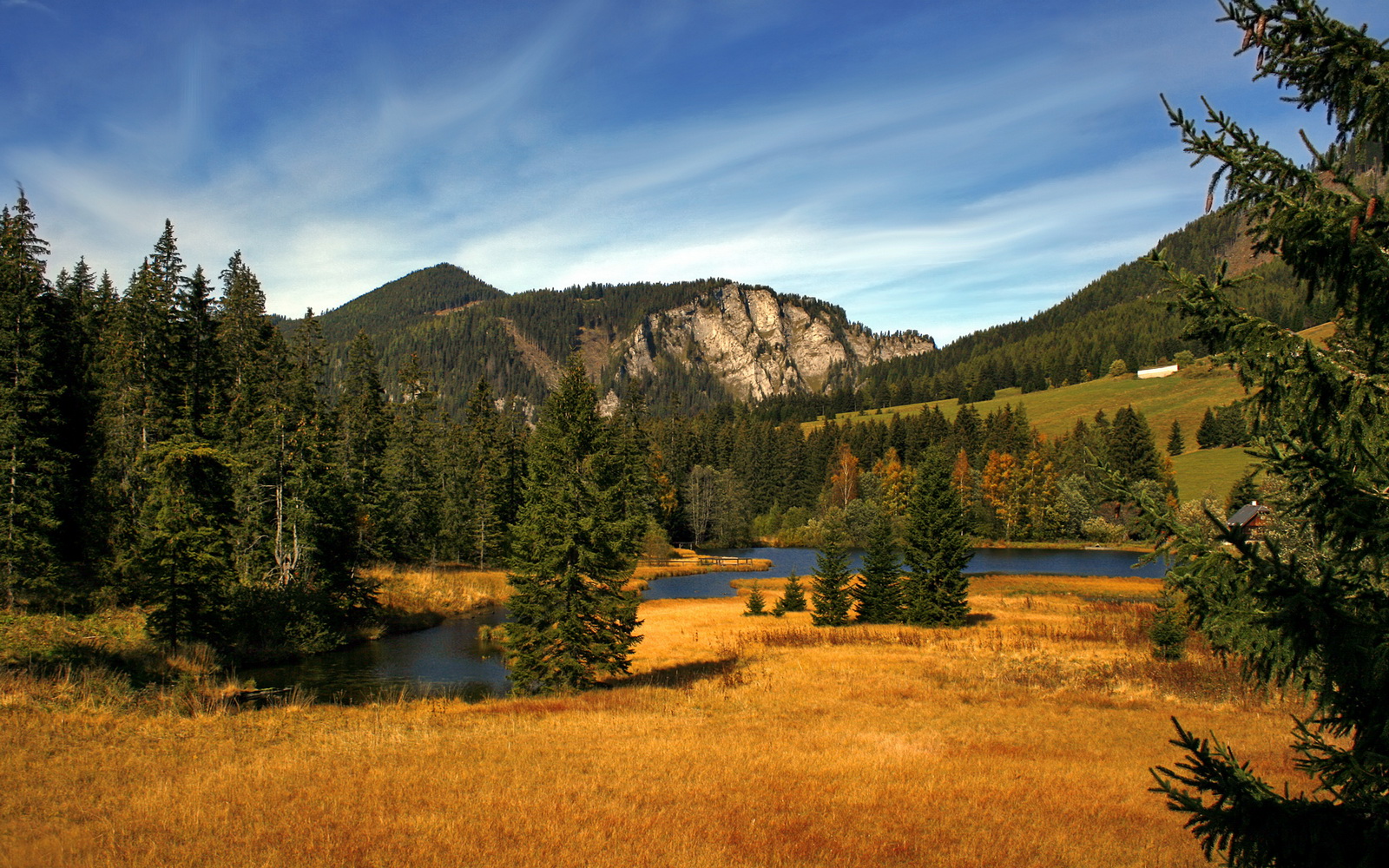 开云体育APP下载-西甲裁判语言模型在多语言环境下提升判罚效率,国际比赛裁判语言