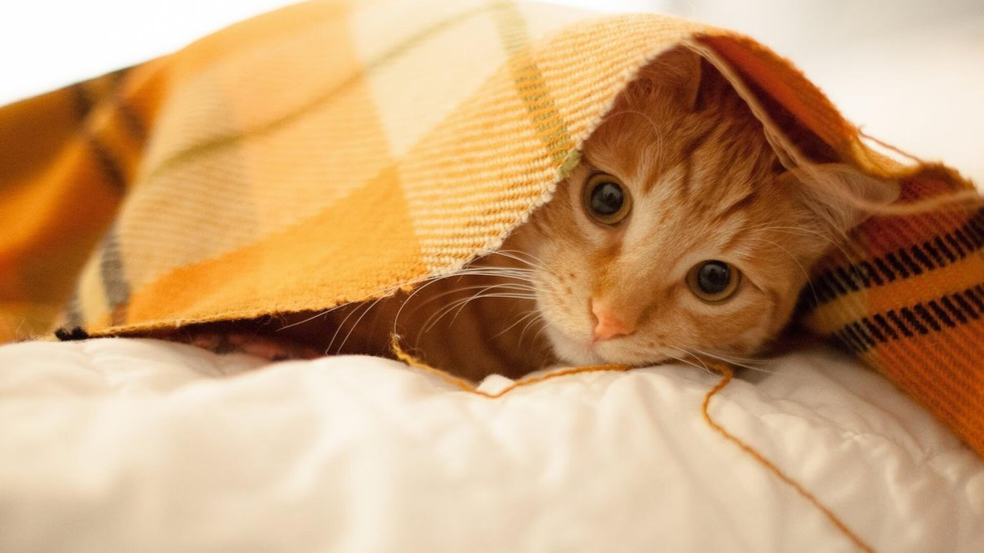 开云体育在线赛事直播-出发反应速度领先小组平均水平