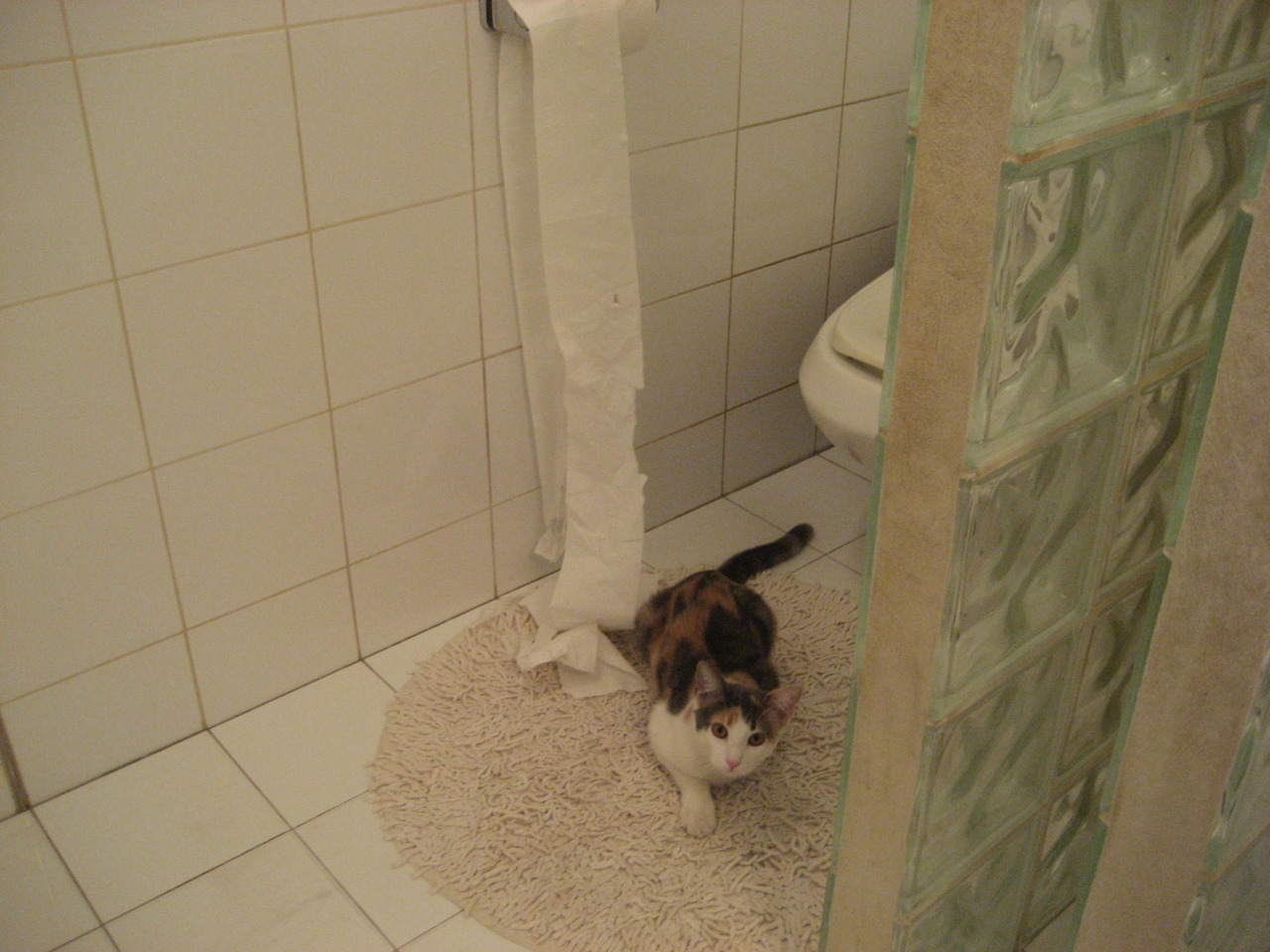 开云在线直播-美国队未来潜力:如何通过多元化训练打造全面型选手,美国队怎么样