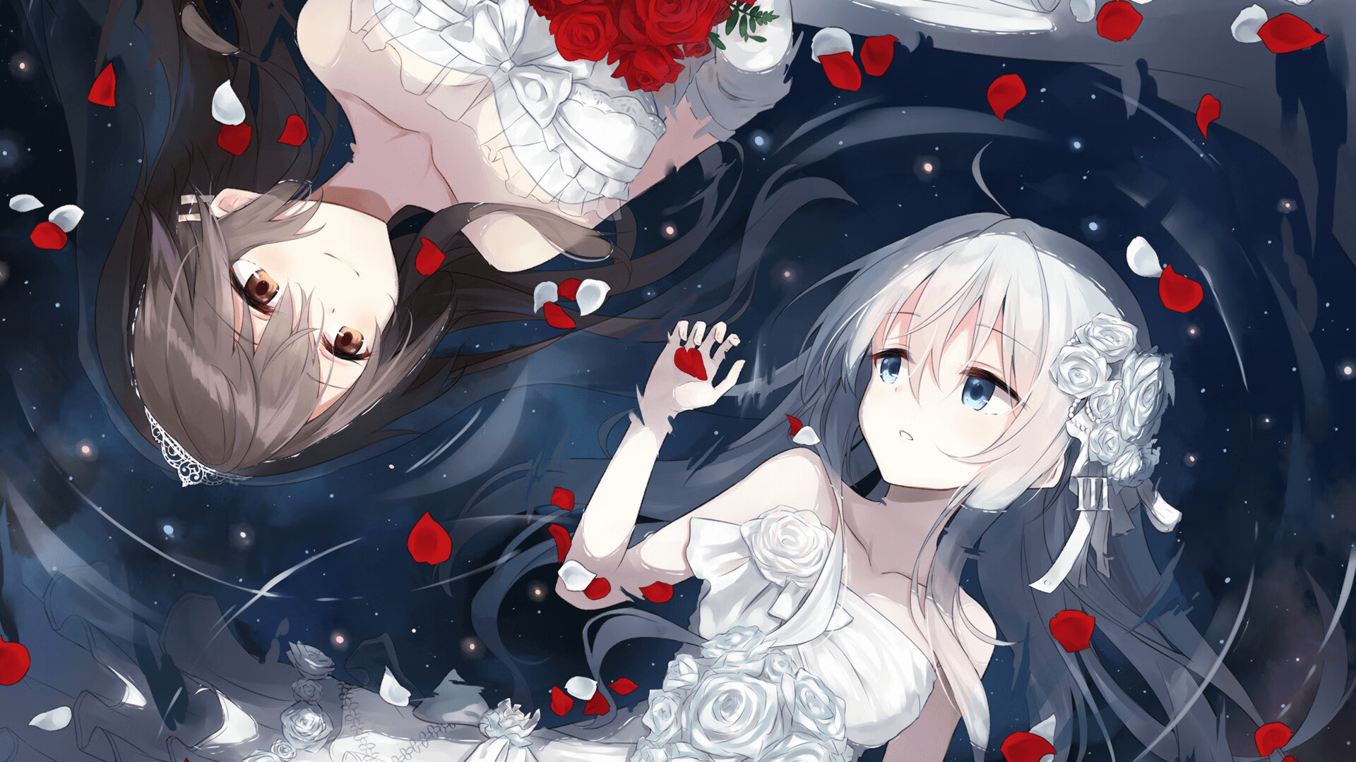 开云·体育官方网站入口-自由泳前15米冲刺数据首次曝光,自由泳距离