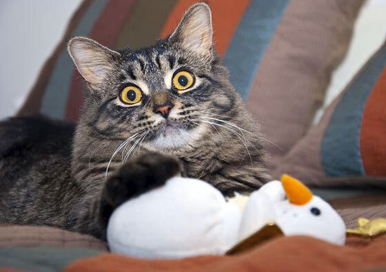 开云全站-青训体系专业化水平亟需提升，青训理念