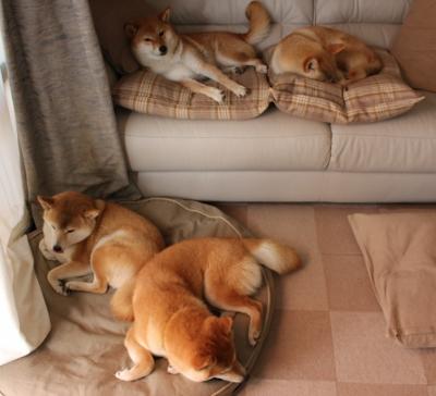 开云首页登录-游泳节奏控制意识强化，表现稳定，游泳技术动作